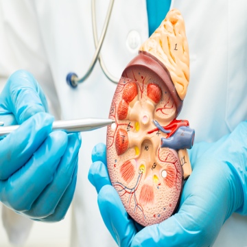 PCNL Surgery